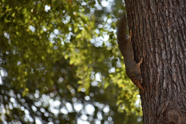 店的健身客 店的健身客