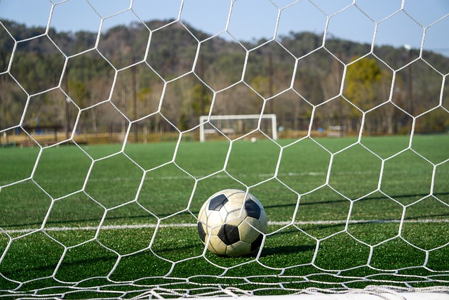 展现了指挥 展现了指挥